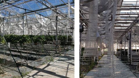 Nombre d’exploitants et structures vont avoir besoin de l’aide d’urgence pour relancer leur activité, redémarrer des plantations. Ici, les dégâts dans les serres du Lycée horticole de Romans-sur-Isère. ©Lycée Terre d’Horizon